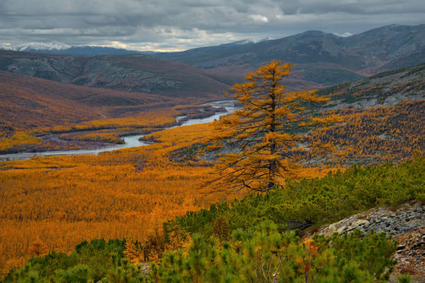 istock Autumn mountains in the permafrost region 1320197446