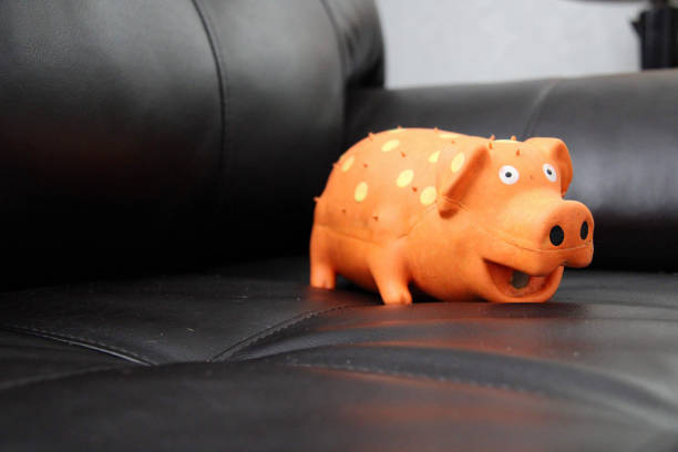 Cube cute Pig 3D render model isolated white background.