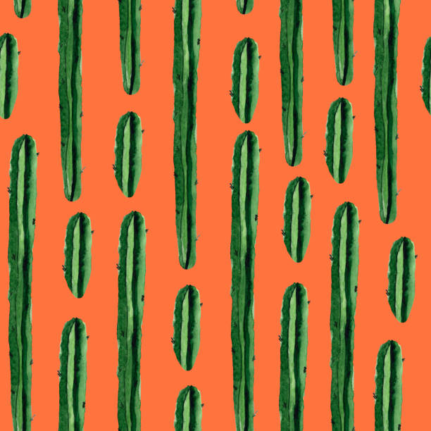 ilustraciones, imágenes clip art, dibujos animados e iconos de stock de patrón de acuarela del desierto cactus vertical. - patron tequila