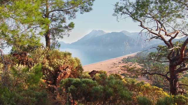 Olympos and Cirali Beach In Antalya Province, Turkey. Camera pans between bushes and trees and looks out onto a long beach with mountain views. Magnificent nature of Turkey, aerial view
