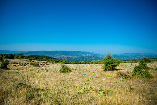 Landscape of beautiful Zavojsko lake in Serbia, Europe