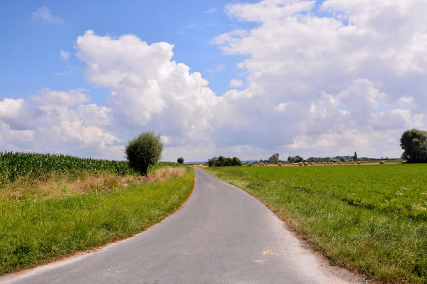 istock European natural countryside 1320206641