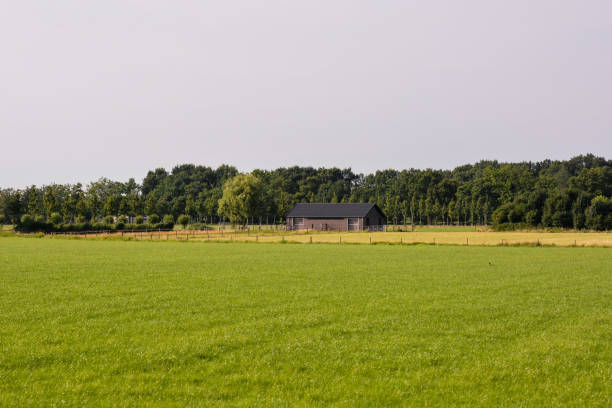 istock European natural countryside 1320206748