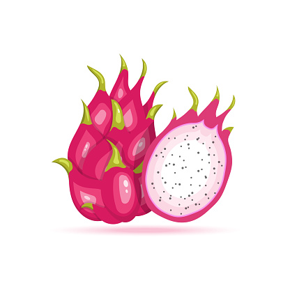 Dragon fruit vector icon. Pitaya flat illustration. eps 10