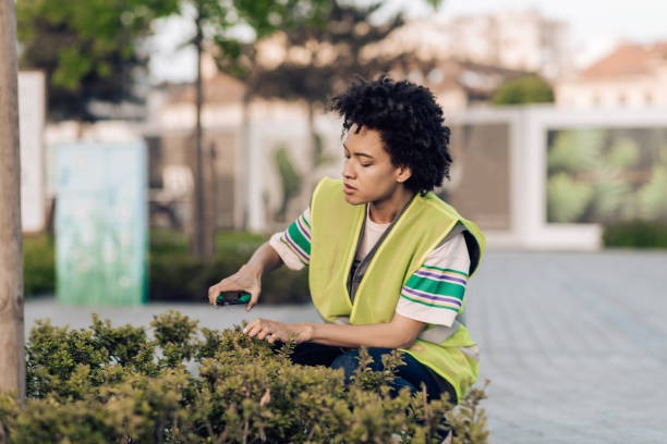 istock Female worker from the city service pruning the hedge 1320210858