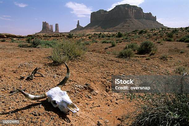 Американский West — стоковые фотографии и другие картинки Корова - Корова, Ранчо, Пустыня