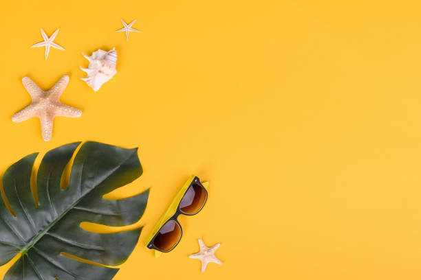 istock Beach accessories: glasses and hat with shells and sea stars on a colored background 1320211022