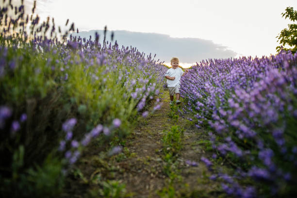 istock What prettiness looks like 1320212241