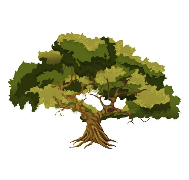 Vector illustration of Large thick tree - Stock Illustration