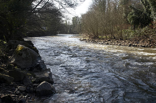 istock Flowing river treelined banks 132021795