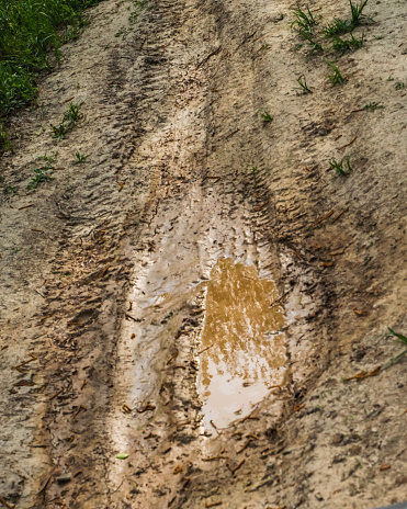 Mud Puddle on ATV Trail