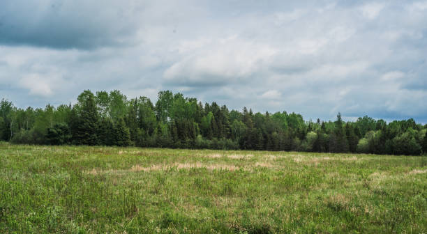 istock Natural Landscape - Hay Field 1320222262
