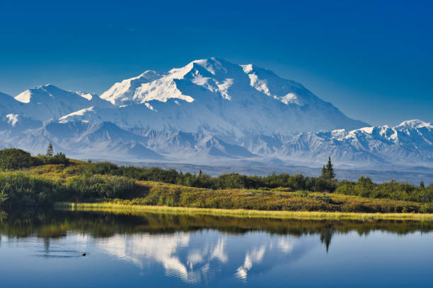 Reflection of Denali Denali as seen from Reflection Pond in Denali National Park, Alaska. denali mountain stock pictures, royalty-free photos & images