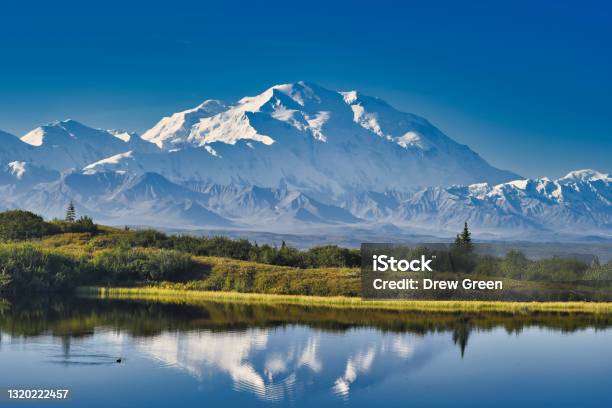 Reflection Of Denali Stock Photo - Download Image Now - Alaska - US State, Denali National Park and Preserve, Denali - Mountain