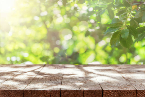 istock Abstract backgrounds: Empty wooden table with defocused green lush foliage at background. 1320224194