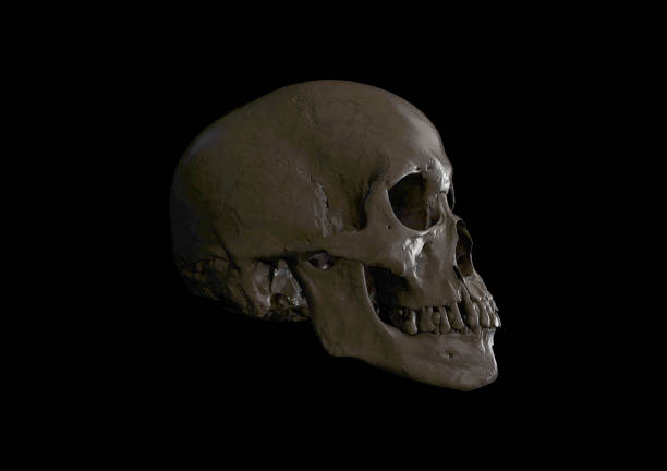 istock Human skull on Rich Colors a Black Isolated Background. 1320224341