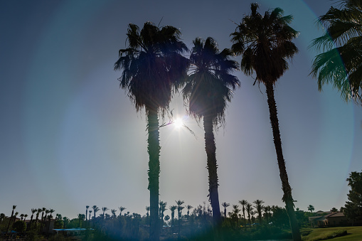 Scenic Palm Desert vista, Southern California