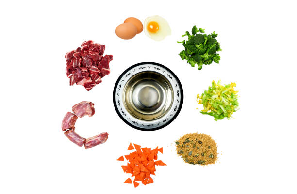 Healthy Eating for dogs. Fresh raw food ingredients around empty dog bowl. stock photo