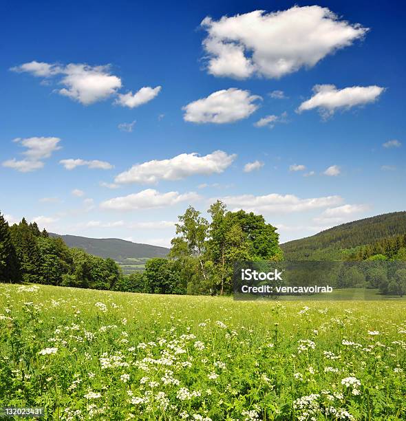 Paisaje De Primavera Foto de stock y más banco de imágenes de Aire libre - Aire libre, Belleza de la naturaleza, Bohemia