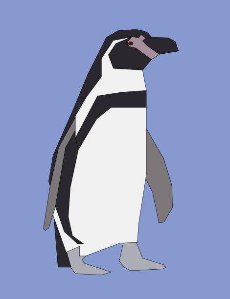 istock A graphic drawing of a Penguin for use as web decoration or a Logo 1320235957