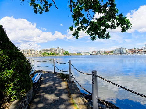 Tree-lined walkway along the water edge around Inner Harbor in Victoria BC on a sunny day