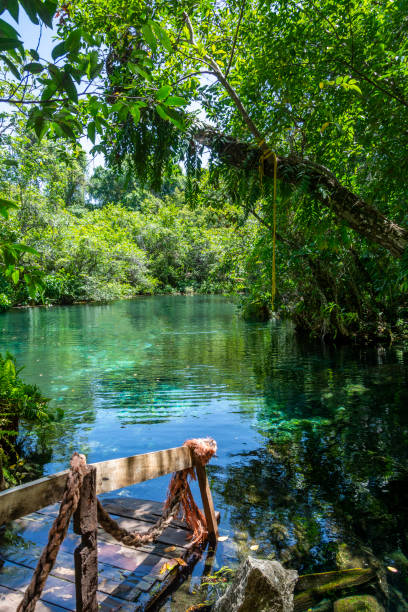 istock Dudu Lagoon, Cabrera, Dominican Republic 1320241688