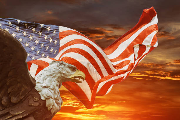 istock An american bald eagle on american flag 1320241798