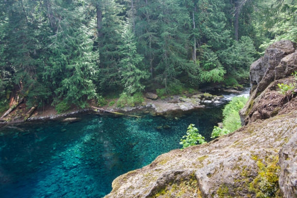 istock Blue pool McKenzie river blue water green forest 1320242450
