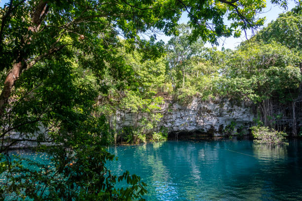istock Dudu Lagoon, Cabrera, Dominican Republic 1320243308