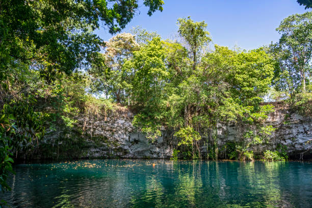 istock Dudu Lagoon, Cabrera, Dominican Republic 1320245319