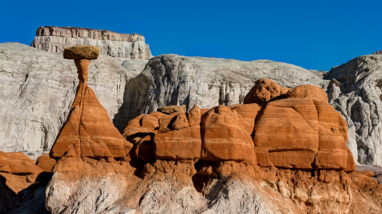 Group of desert rock formations, shaped by wind erosion to resemble mushrooms or toadstools.