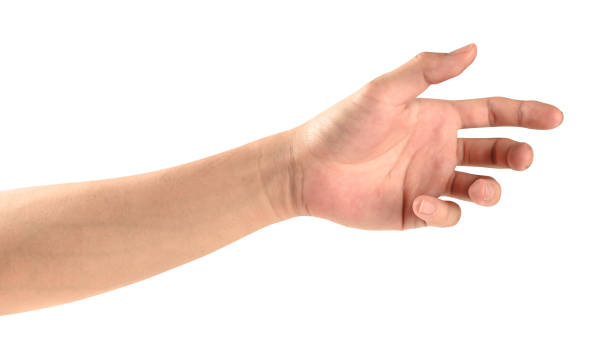 isolated of male caucasian hand holding something like a bottle or can. Close up male caucasian hand holding something like a bottle or can isolated on white background with clipping path. men hands stock pictures, royalty-free photos & images