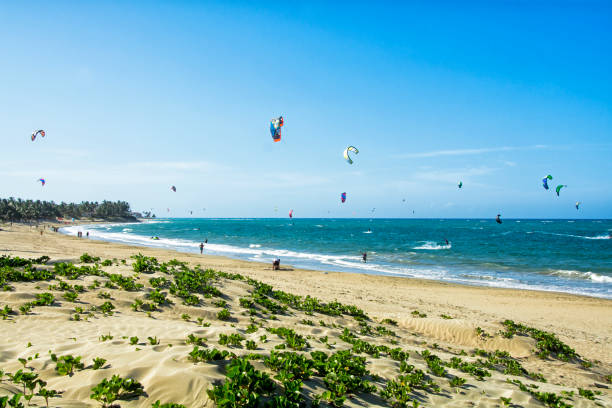 Kiteboarders at Cabarete beach Kiteboarders at Cabarete beach. Dominican Republic kite sailing stock pictures, royalty-free photos & images