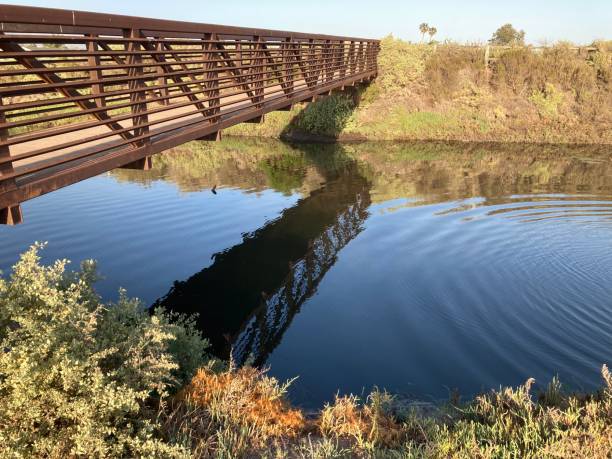 istock The bridge across the salt marsh reflected in the water 1320255818