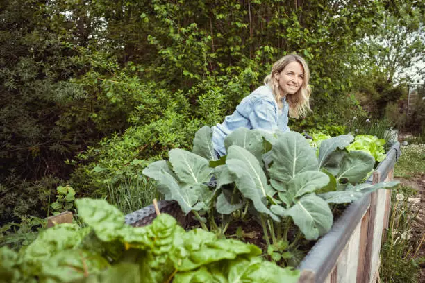 Photo of young pretty woman with blue shirt and gloves with flower design posing by raised bed full of fresh vegetables