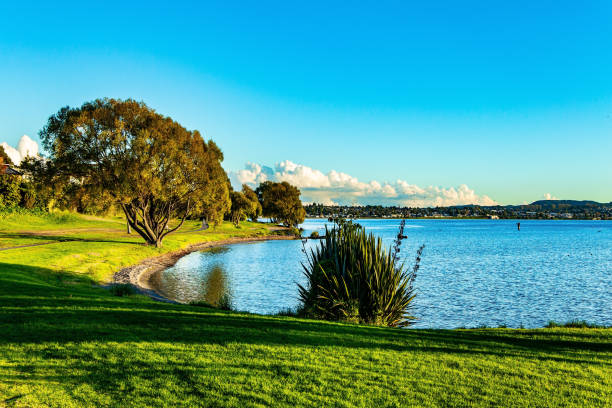 istock The walk by the lake 1320270622