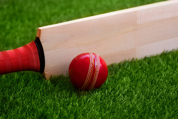 istock cricket bat and ball placed on cricket ground green grass 1320271642