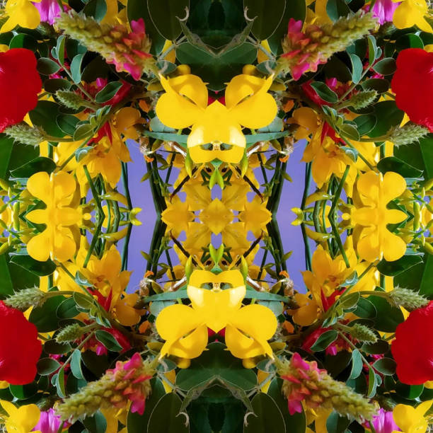 Multicolored flowers composition, plant and leaves