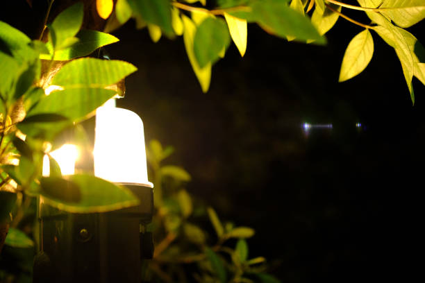 istock Image of the outdoors where the lamp shines 1320274790