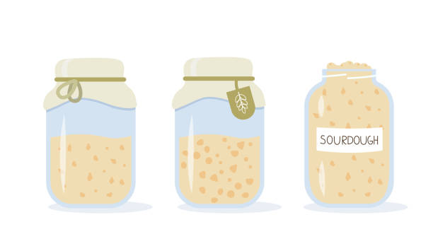 Set of icons of sourdough bread starter in mason jar for home baking. Homemade yeast dough in glass bottle. Healthy organic gluten free diet. Flat cartoon vector illustration. Set of icons of sourdough bread starter in mason jar for home baking. Homemade yeast dough in glass bottle. Healthy organic gluten free diet. Flat cartoon vector illustration yeast starter stock illustrations
