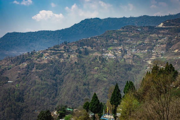istock mountain valley covered with forest and bright sky at morning from flat angle 1320279318