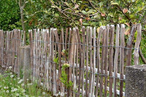 Garden delimited with a concrete wall and a picket fence