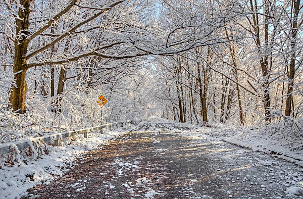 冬 road - landscaped landscape winter usa ストックフォトと画像