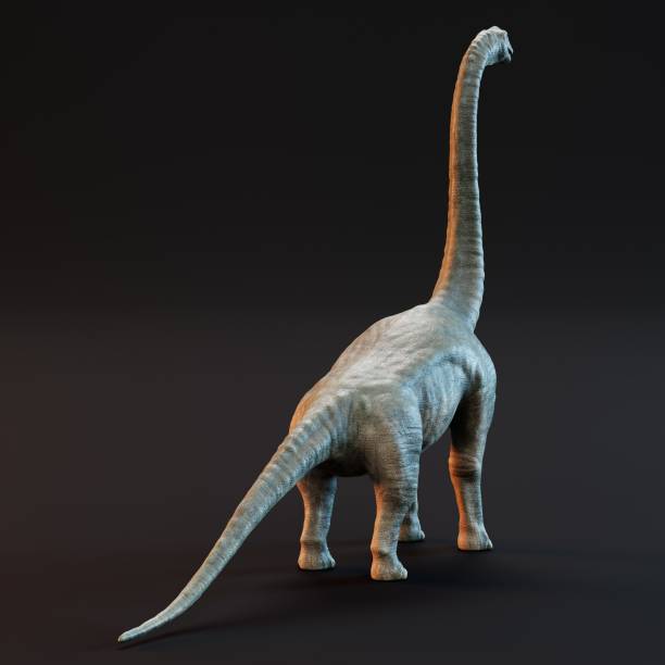 istock Realistic 3D Render of Brachiosaurus Dinosaur 1320287056