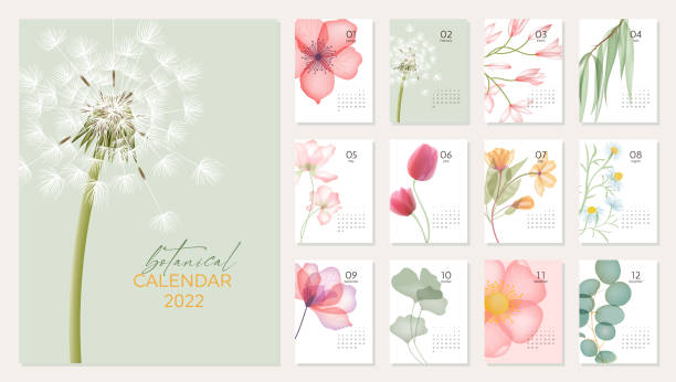 illustrazioni stock, clip art, cartoni animati e icone di tendenza di modello di calendario 2022 con fiori astratti e 12 pagine per ogni mese - bouquet tulip flower nature