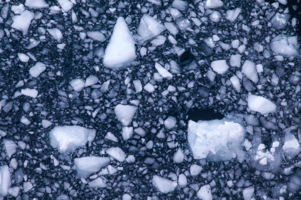 Directly above view of ice floating on sea water, Gerlache Strait, Antarctica.