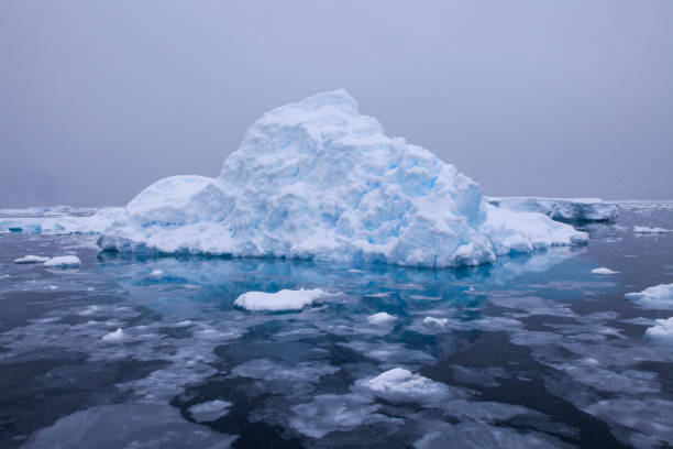 istock View of iceberg floating in Antarctic Ocean 1320292687