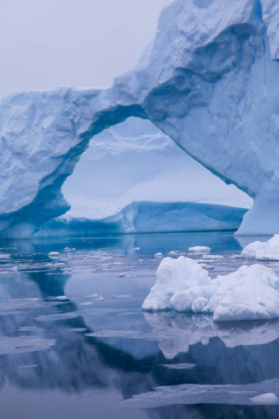 istock Reflection of iceberg in Antarctic Ocean 1320292708