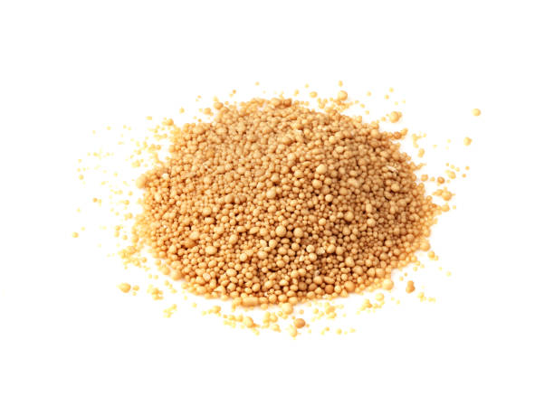 istock pile of granulated active dry yeast on white 1320294019