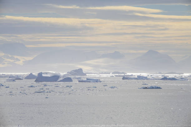 istock Icebergs floating in sea 1320294135